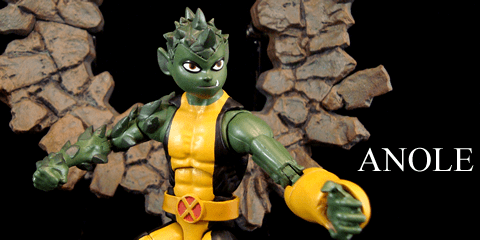 anole240